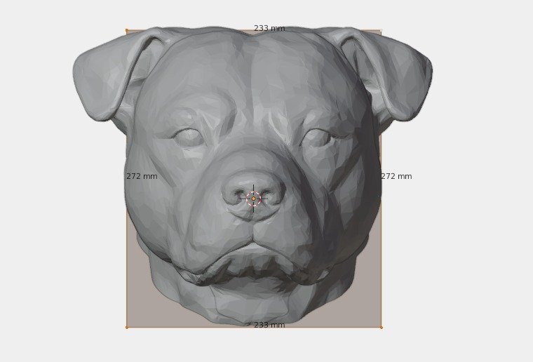 Animal Modeling