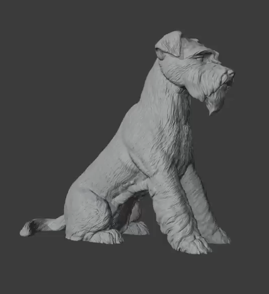 Animal Modeling