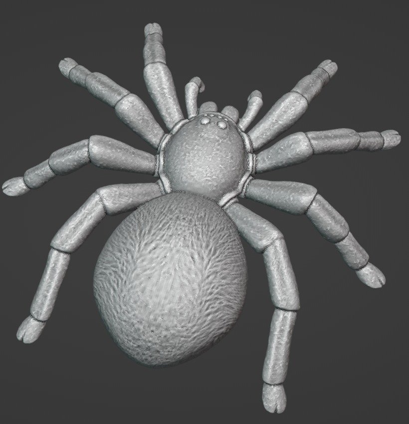 Animal Modeling