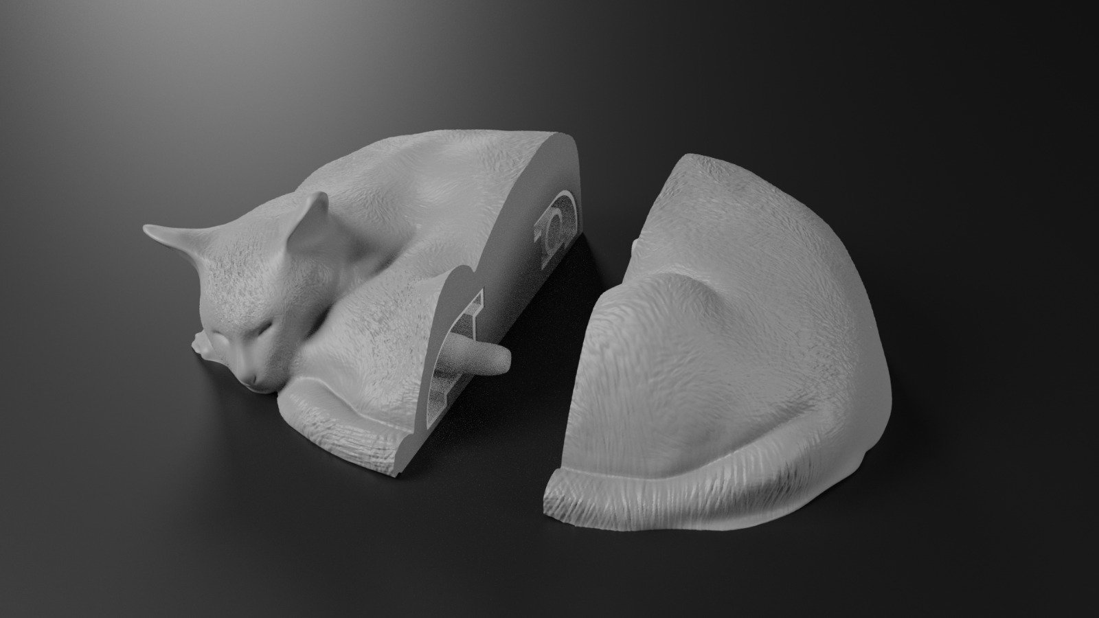 Animal Modeling