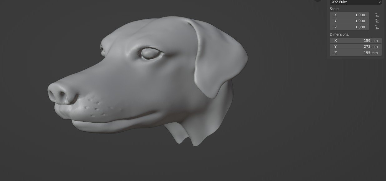 Animal Modeling