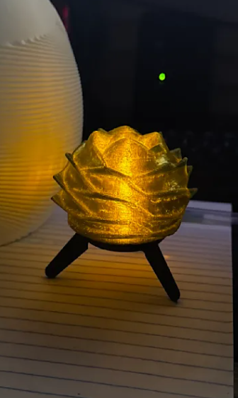 Light Casings